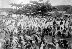 1902.jpg