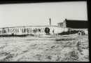 IMG0022.jpg
