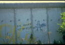 IMG0085.jpg