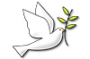 ipc2011-fp-teaser-100.jpg