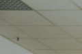 DSC_7155.jpg
