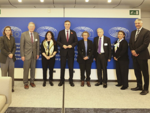 202511_Delegation_Group_Photos_Mep_David_Mcallister001.jpg